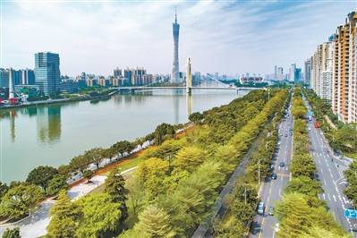 2019年3月30日，临江大道绿道周边绿树成荫，繁花似锦，广州塔和猎德桥等一江两岸的景观尽收眼底。