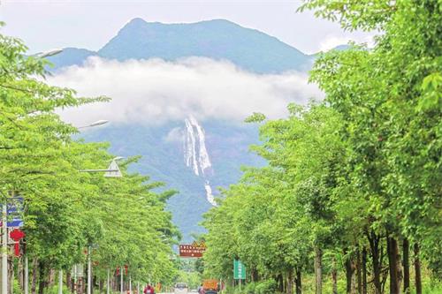 中国广州政府门户网站 - 增城林业生态建设连续