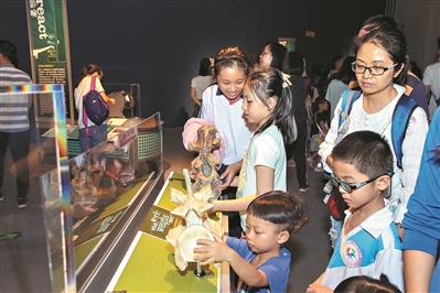 夜游博物馆成市民和游客的热门选择。