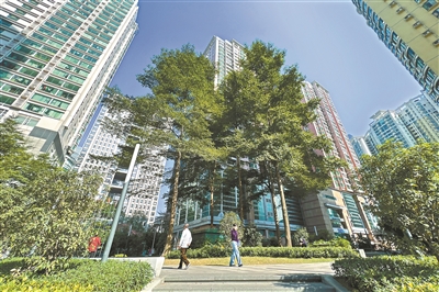 广州见缝插绿 建设完成约200个口袋公园