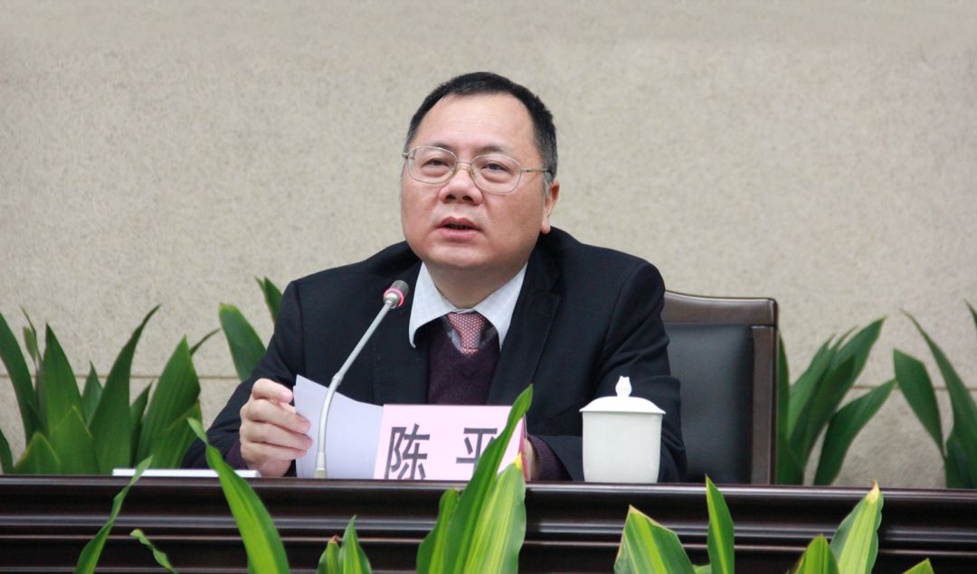 广州市地方金融监督管理局副巡视员陈平