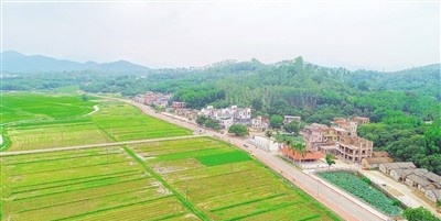 广州_看图王