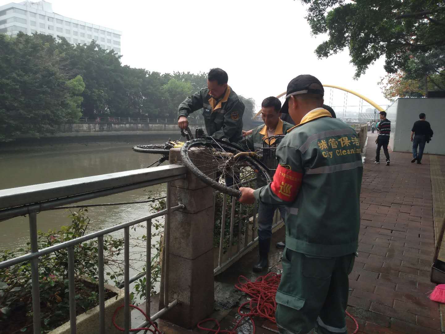 （图：街道河长办组织打捞清理河涌的共享单车）