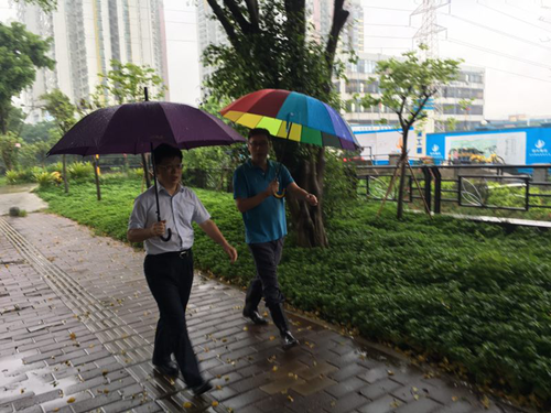 （图：吴辉文同志一行到沙涌涌督查）