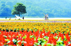 从化石门国家森林公园。