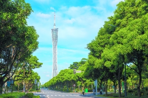 二沙岛