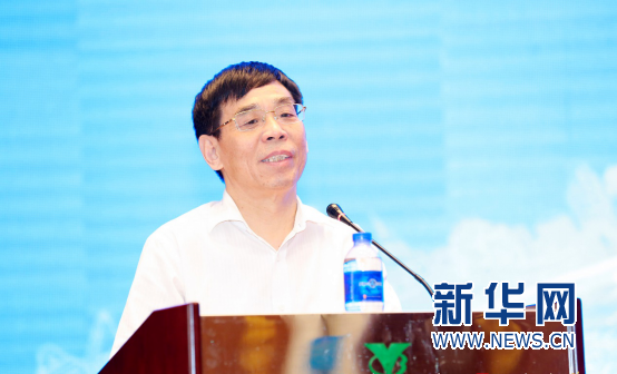 国家农业部农村经济研究中心主任宋洪远。新华网发