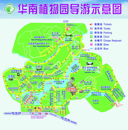 华南植物园导览图