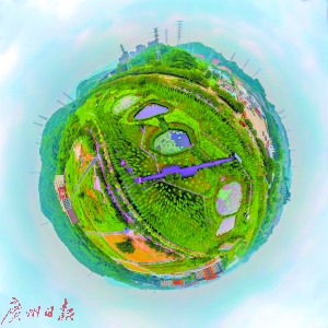 广州大观湿地公园航拍图。