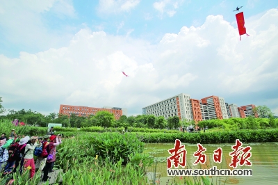 天河湿地公园景色。 南方日报记者 刘力勤 摄