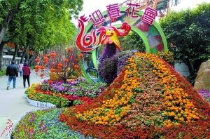 文化公园的迎春花会花团锦簇、喜气洋洋，洋溢着浓烈的节日氛围。