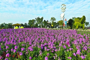 蓝天白云下的广州市儿童公园，节日氛围浓。