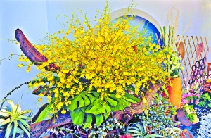 广州国际花卉艺术展越秀公园分会场，花艺比赛中展示的花屋组作品《凝聚》。