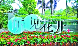 越秀公园分会场的“听见花开”标语。