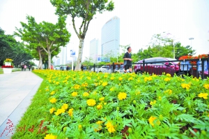 如今的阅江路犹如一条绚丽的“鲜花带”。