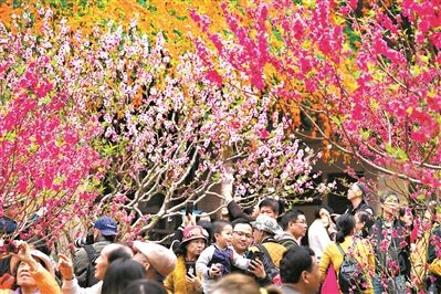 白云山桃花涧，绽放的桃花吸引了大批游人前往观赏。（资料图）