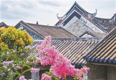 余荫山房今夏已成紫薇花海。.jpg