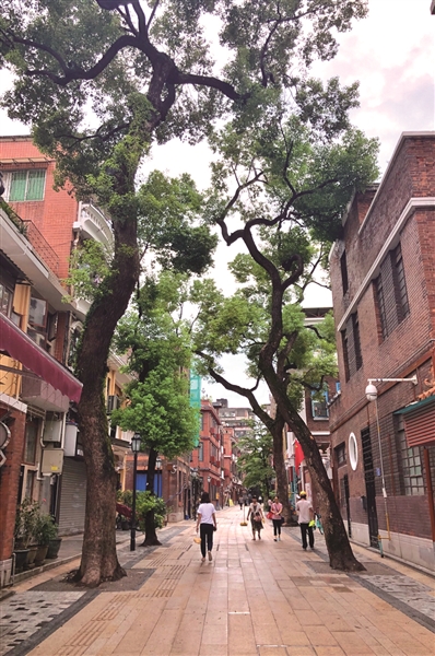 旧南海县社区，一栋栋传统风貌历史建筑焕然一新。