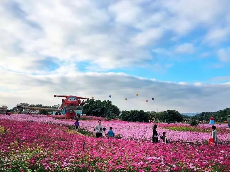 从化网红景点图片