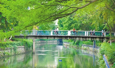 经过整治的驷马涌两岸绿树成荫，当地居民穿行在石桥上。