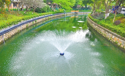 西关古河道驷马涌整治初见成效，重现“河畅水清”。