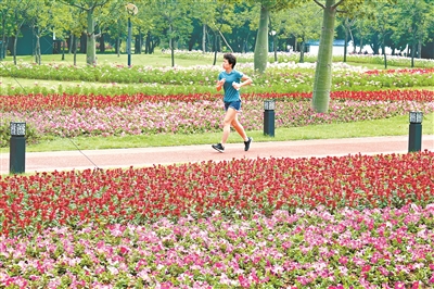 临江大道鲜花绽放，成为市民健身休闲的好去处。