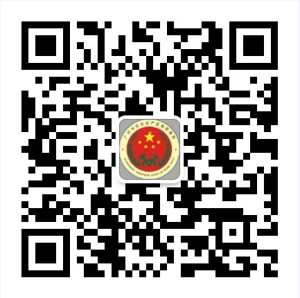广州应急管理二维码