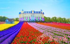 The seven-color flower field in the Sunflower Garden in Nansha