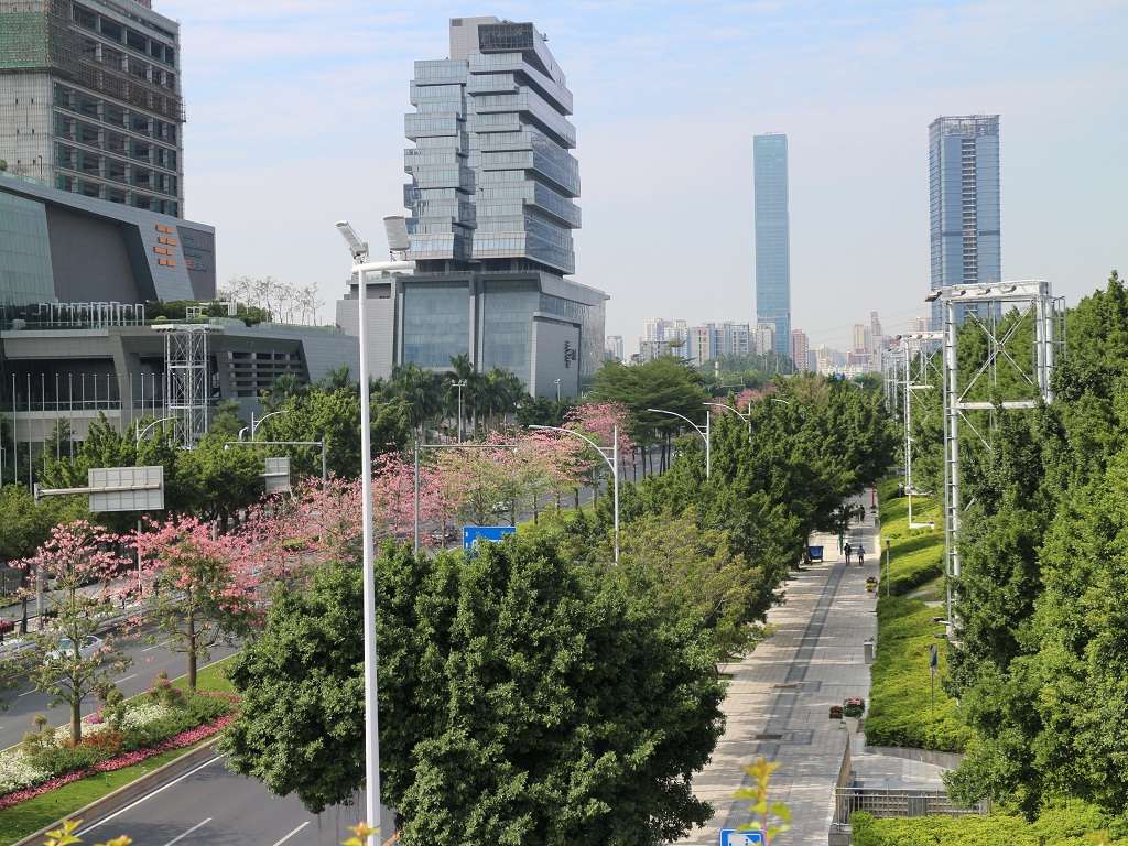 新港路绿道