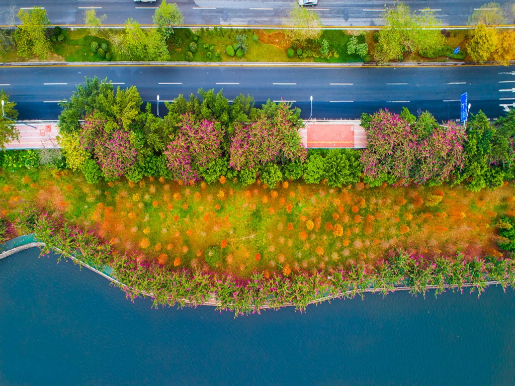 大观湿地公园绿道