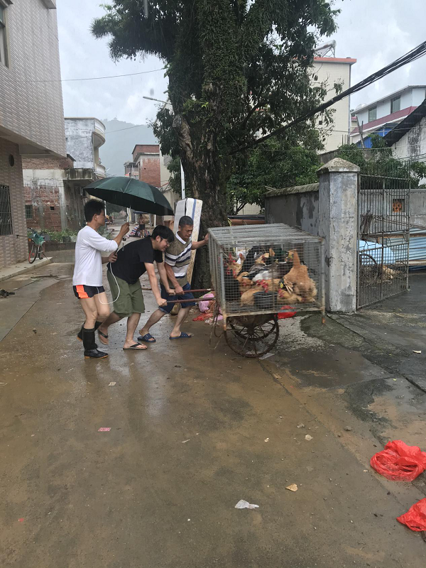 图片3.3.png