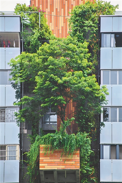 新式垂直绿化理念，不会让植物完全遮蔽建筑，相反，设计师会留出对流风口，让建筑冬暖夏凉。1