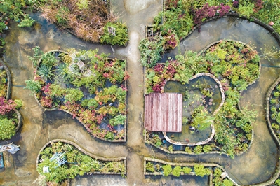 289艺术园区空中花园，对称布局中蕴含变化。