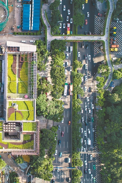 289艺术园区空中花园，对称布局中蕴含变化。2