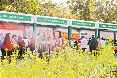 广州增城菜心美食节现场。.jpg