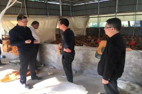 大湾区办陈建荣常务副主任赴清远市调研广清一体化高质量发展.jpg