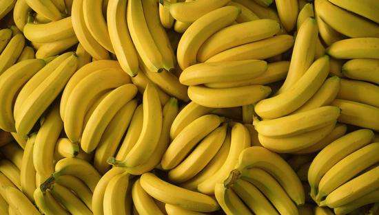 万顷沙的大蕉、香蕉