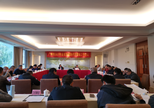 已编辑图片
