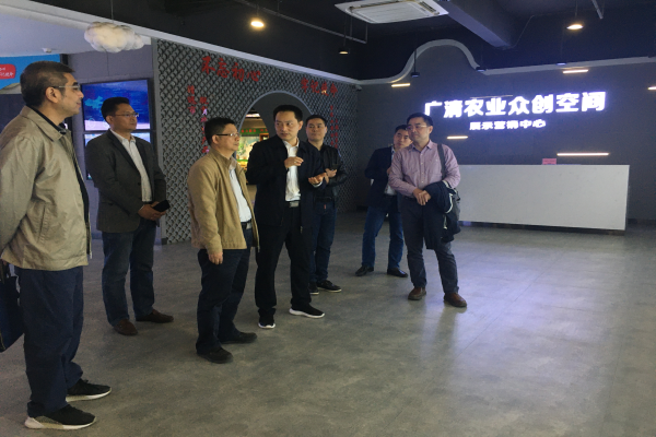 市大湾区办章旺平专职副主任率队赴清远市调研1.jpg