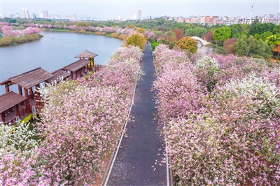 水绿山蓝花似锦，不负春光