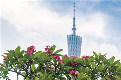 夏日炎炎，以花入肴好滋味