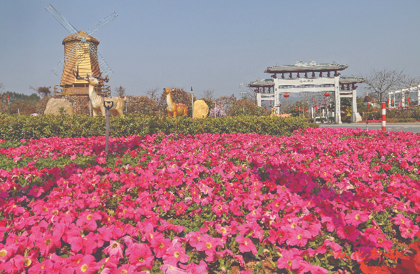 西和万花风情小镇繁花似锦.jpg