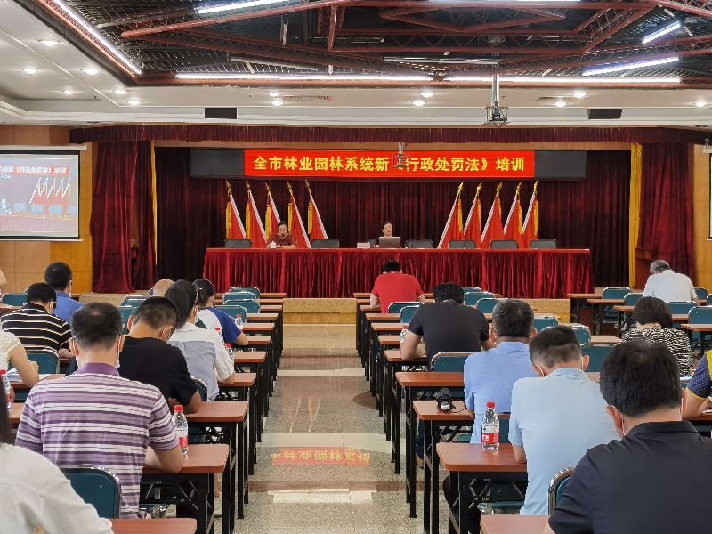 已编辑图片