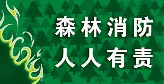 番禺区召开重阳节森林防火暨莲花山旅游区防火安全保卫工作现场会议