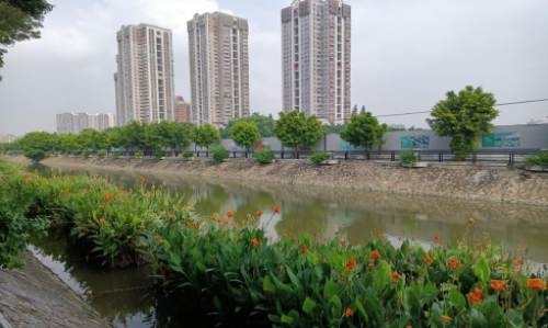 网站信息上报表单（12月27日） - 副本7344.png