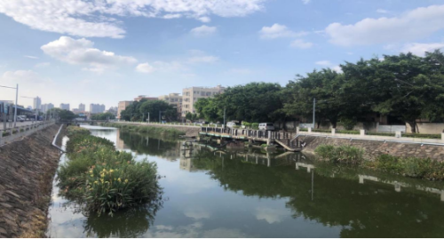 网站信息上报表单（12月27日） - 副本7358.png