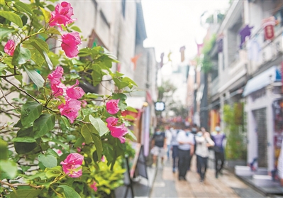 今有花城 芬芳四季