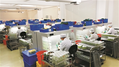 广州市花卉研究中心的组织接种室2.jpg