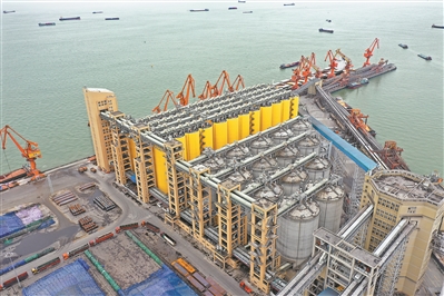 广州港南沙粮食通用码头.jpg