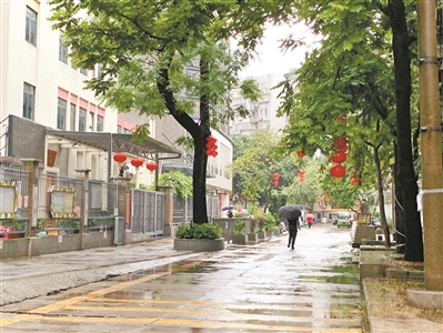 修剪枯枝叶 护师生安全2.jpg